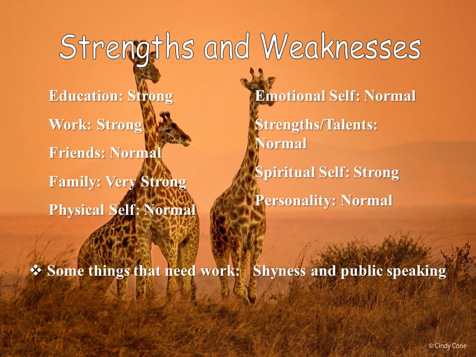 Emotional Self: Normal Strengths/Talents: Normal Spiritual Self: Strong Personality: Normal Education: Strong Work: Strong Friends: Normal Family: Very Strong Physical Self: Normal  Some things that need work: Shyness and public speaking