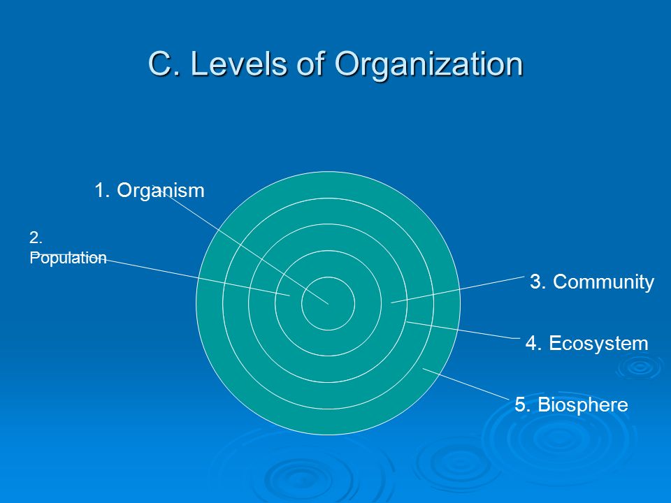 C. Levels of Organization 1. Organism 3. Community 4. Ecosystem 5. Biosphere 2. Population