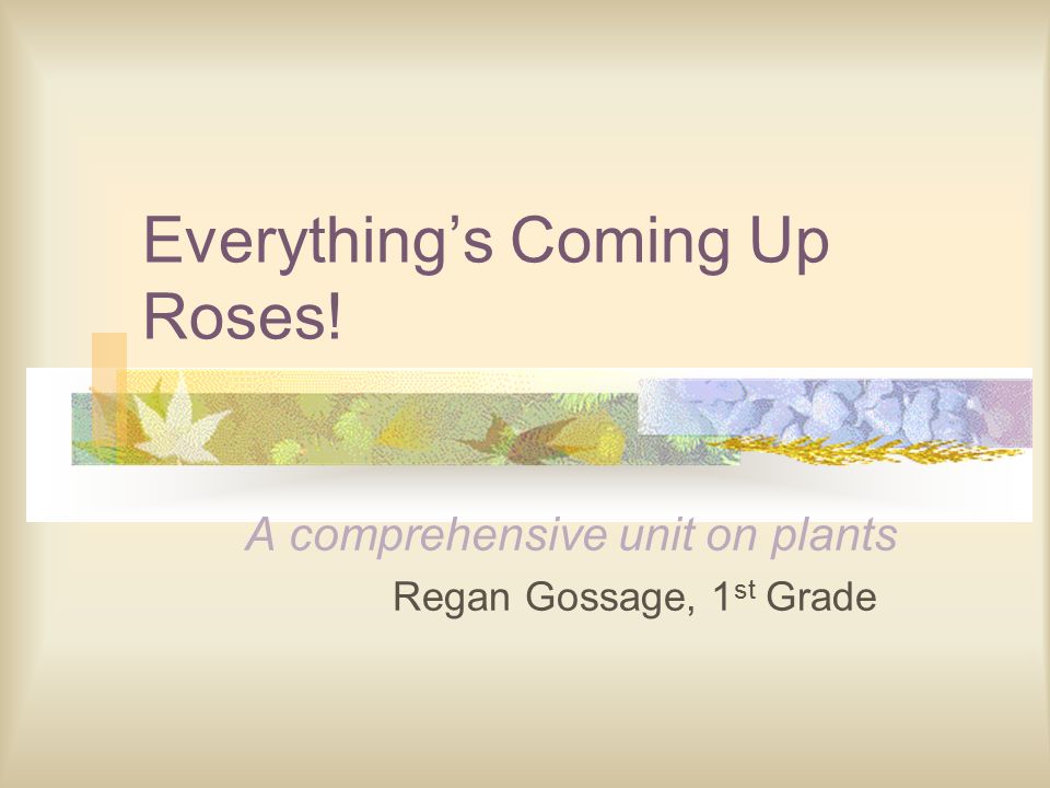 Everything’s Coming Up Roses! A comprehensive unit on plants Regan Gossage, 1 st Grade