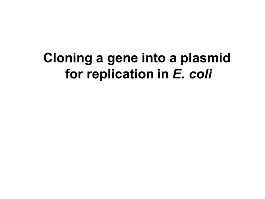 Research Paper On Cloning