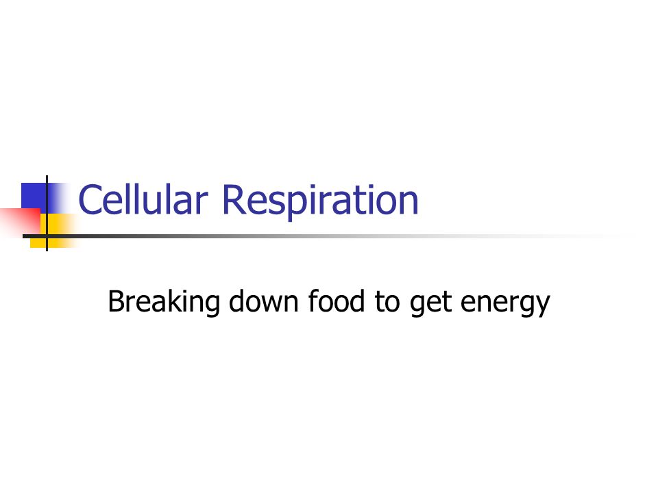 Cellular Respiration Breaking down food to get energy
