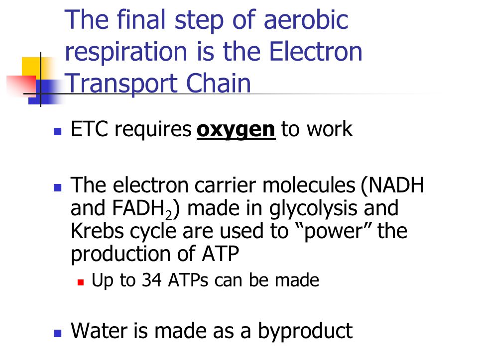 The final step of aerobic respiration is the Electron Transport Chain ETC requires oxygen to work The electron carrier molecules (NADH and FADH 2 ) made in glycolysis and Krebs cycle are used to power the production of ATP Up to 34 ATPs can be made Water is made as a byproduct