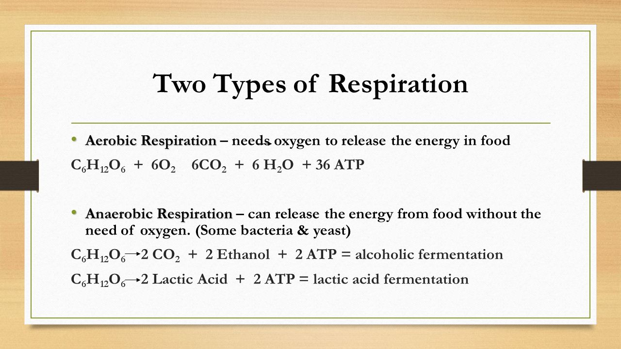 worksheet Cellular Respiration Breaking Down Energy Worksheet Answers term papers writersprofessional writing services aerobioc unit photosynthesis and respiration cell cycle