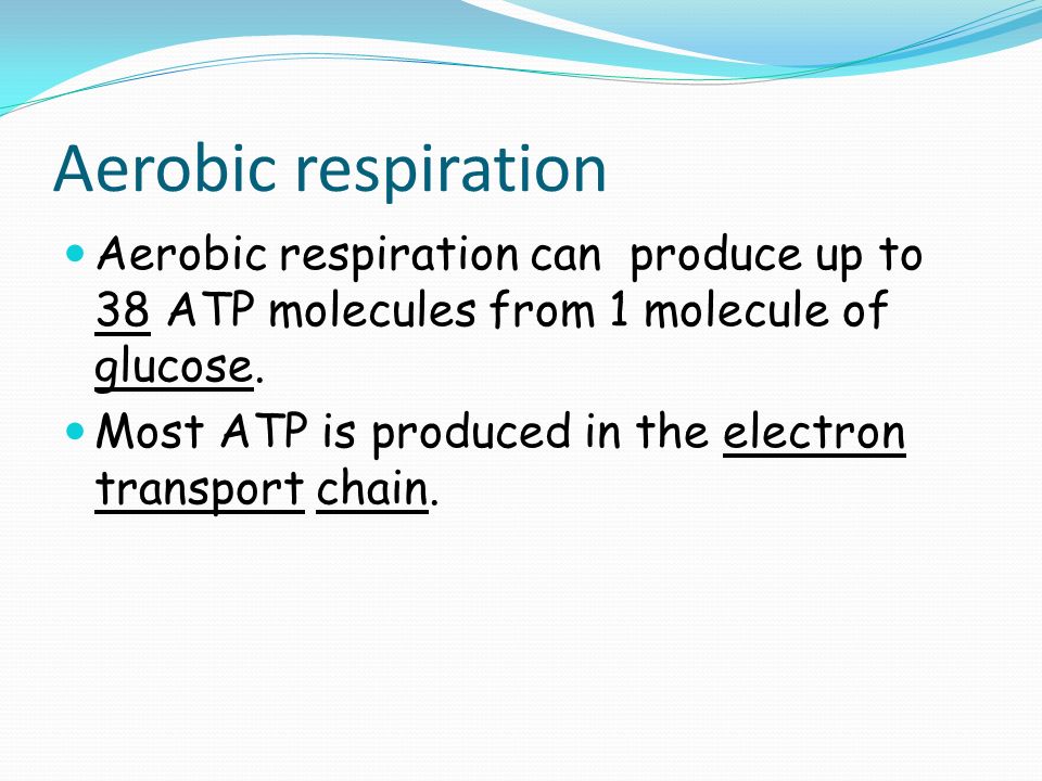 Aerobic respiration Aerobic respiration can produce up to 38 ATP molecules from 1 molecule of glucose.