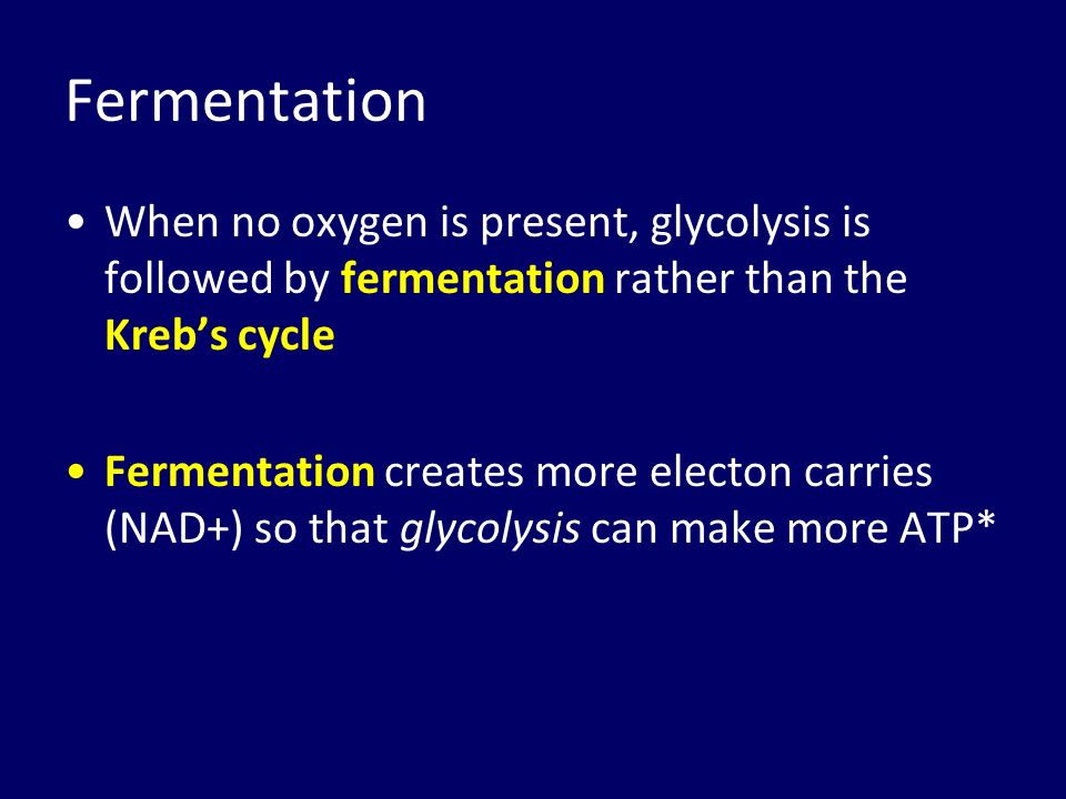 000d8cf8 Fov1 000e9546 000e954c Krebs 20cycle Pdfhttp 24 After Glycolysis Fermentation Alcoholic Lactic Acid Kreb S Cycle Electron Transport Chain Oxygen Present No