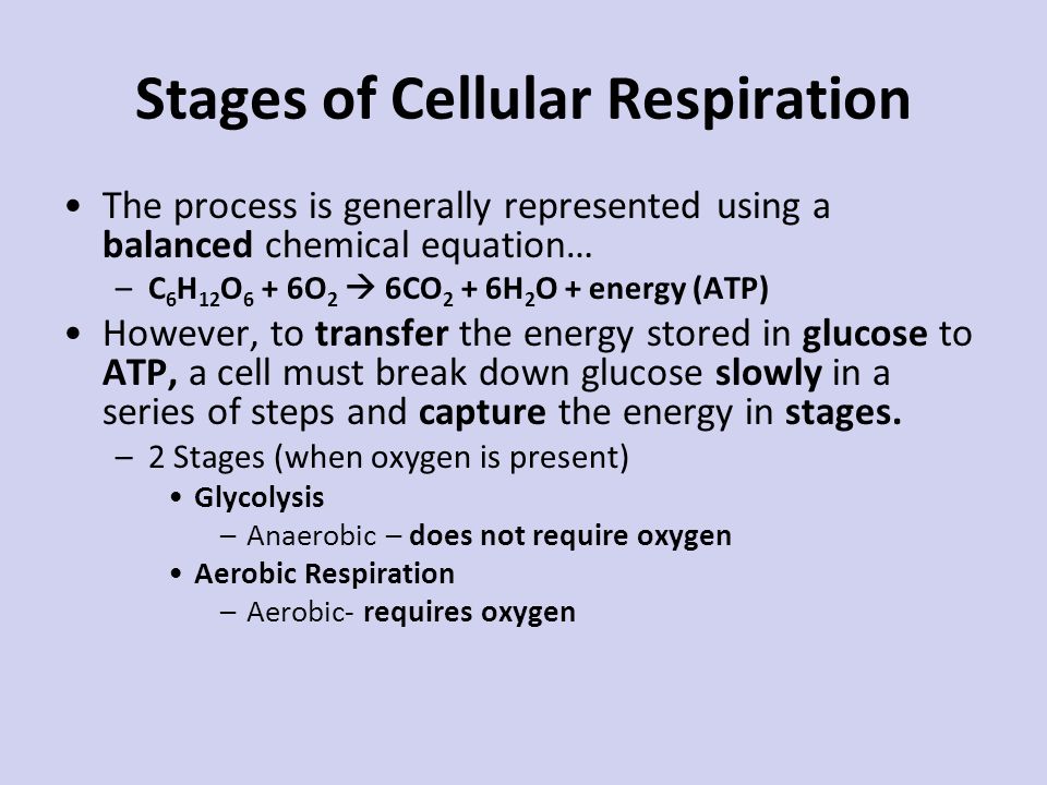 The Overall Simplified Chemical Equation For Cellular Respiration Balanced Chemical Equation For Aerobic Cellular Respiration Of
