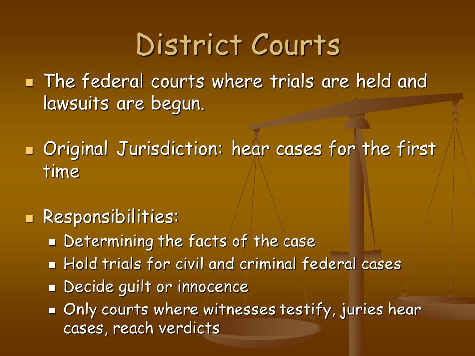 District Courts The federal courts where trials are held and lawsuits are begun.