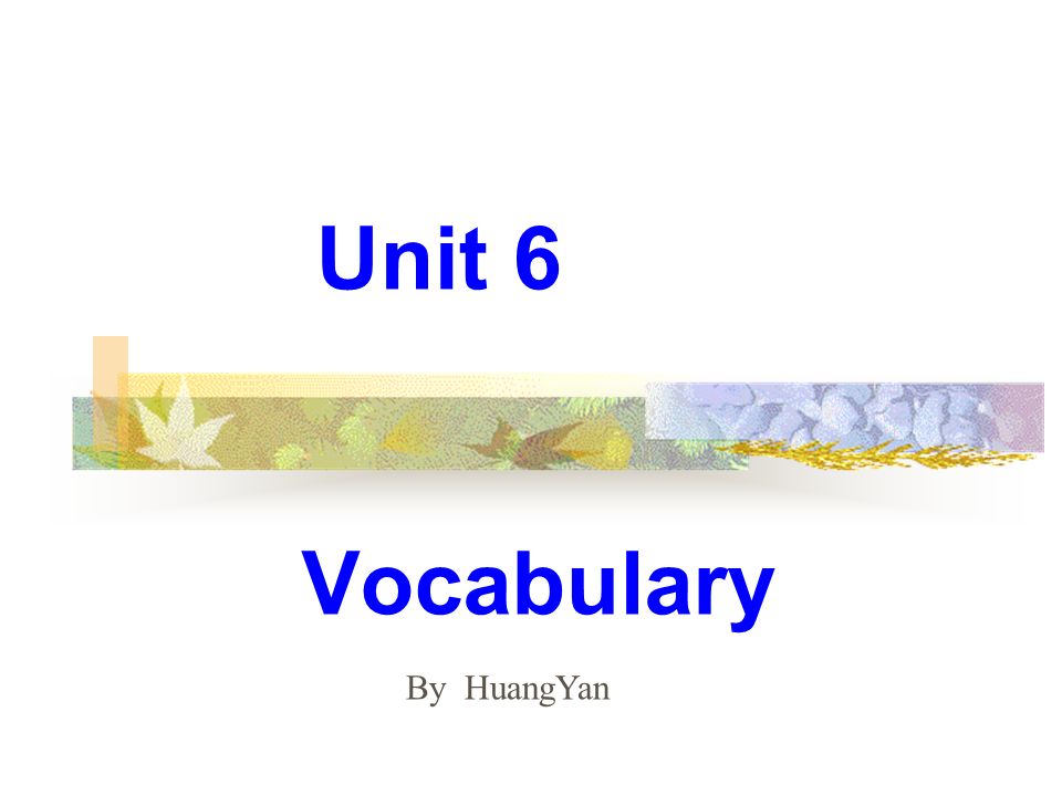Vocabulary Unit 6 By HuangYan