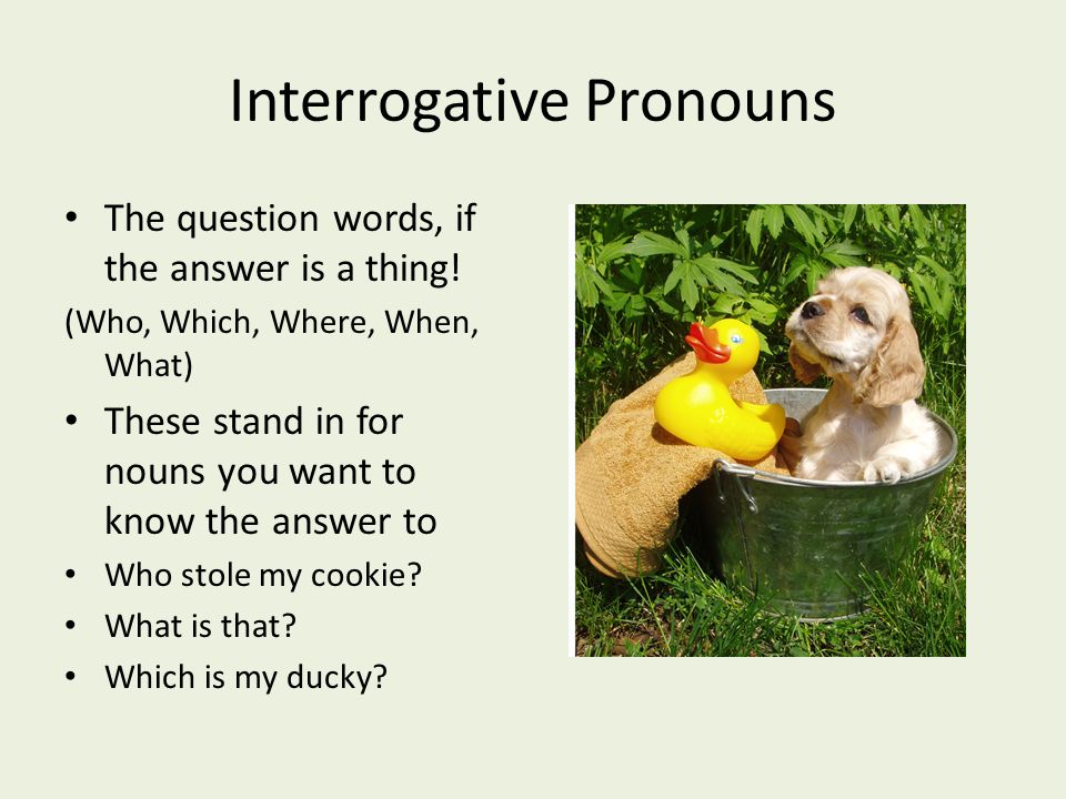 Interrogative Pronouns The question words, if the answer is a thing.