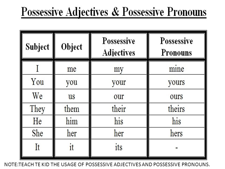Possessive pronounsadjectives 1 Learn English online