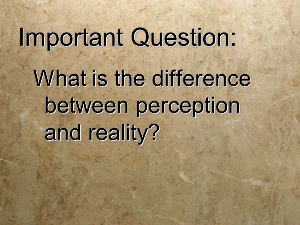 Important Question: What is the difference between perception and reality