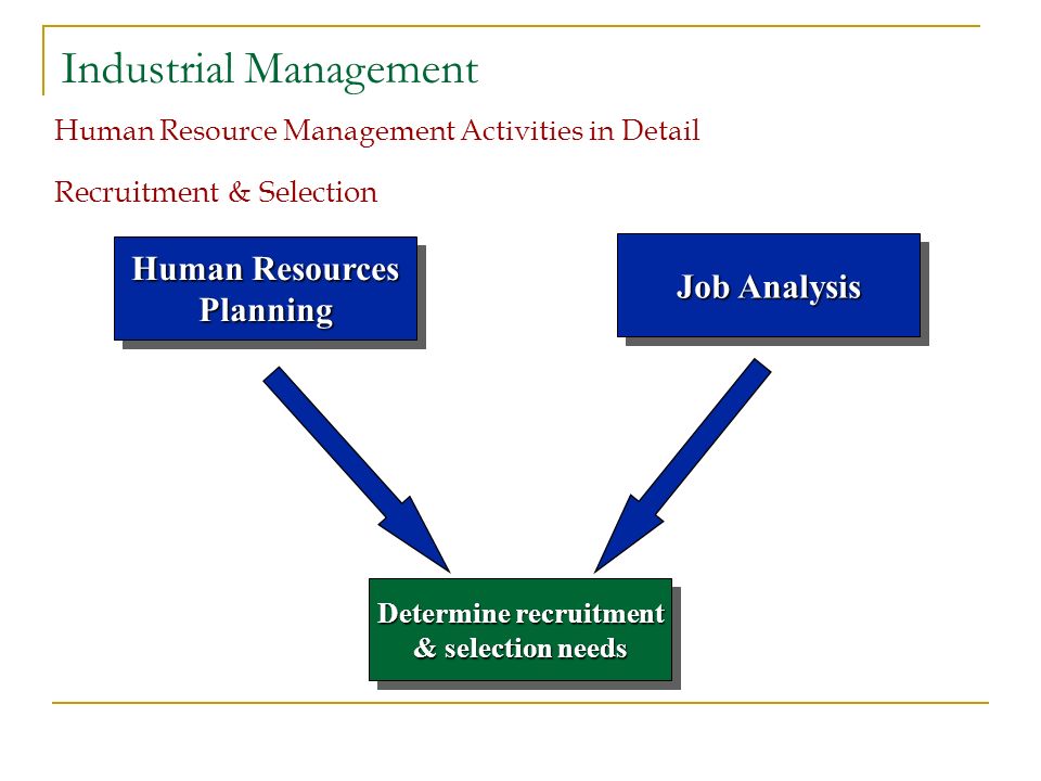 human resource management recruitment human resource management recruitment