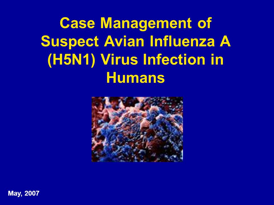case 1 managing the virus Case studyprinciple of management assigment#1 case study#1 managing virus hunters submitted to: mr turab ali khan submitted by: mabubak. case 1 managing the virus Case studyprinciple of management assigment#1 case study#1 managing virus hunters submitted to: mr turab ali khan submitted by: mabubak.