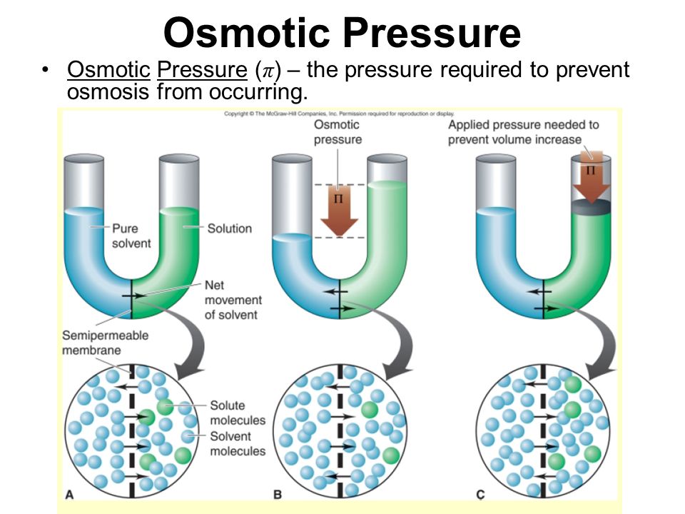 osmotic pressure osmotic pressure