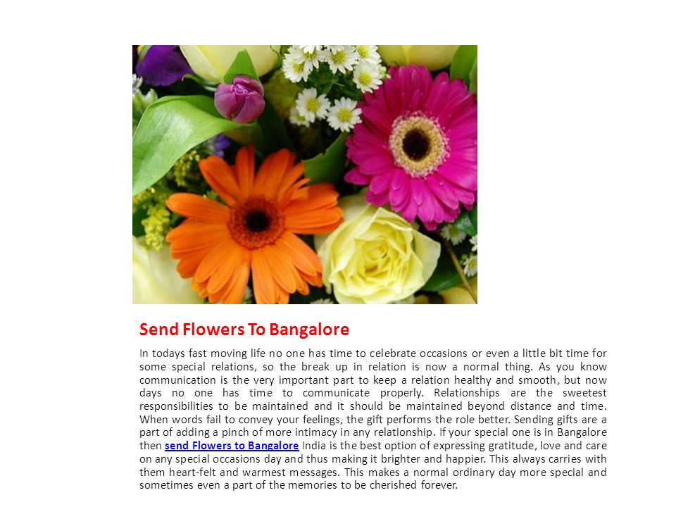 Send Flowers To Bangalore In todays fast moving life no one has time to celebrate occasions or even a little bit time for some special relations, so the break up in relation is now a normal thing.