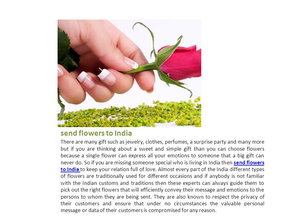 send flowers to India There are many gift such as jewelry, clothes, perfumes, a surprise party and many more but if you are thinking about a sweet and simple gift than you can choose flowers because a single flower can express all your emotions to someone that a big gift can never do.