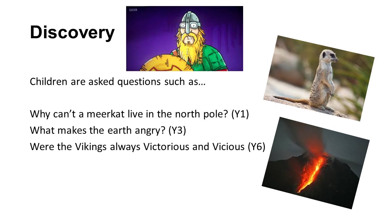 Discovery Children are asked questions such as… Why can’t a meerkat live in the north pole.