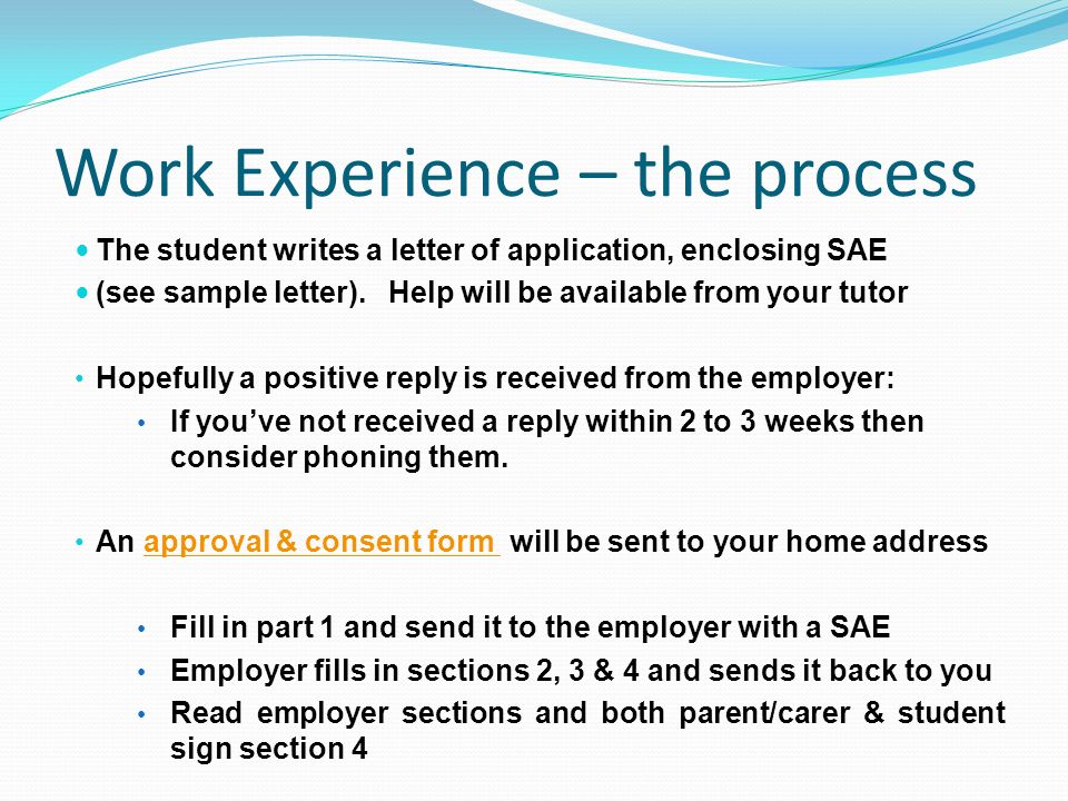 Application Letter For Job Placement