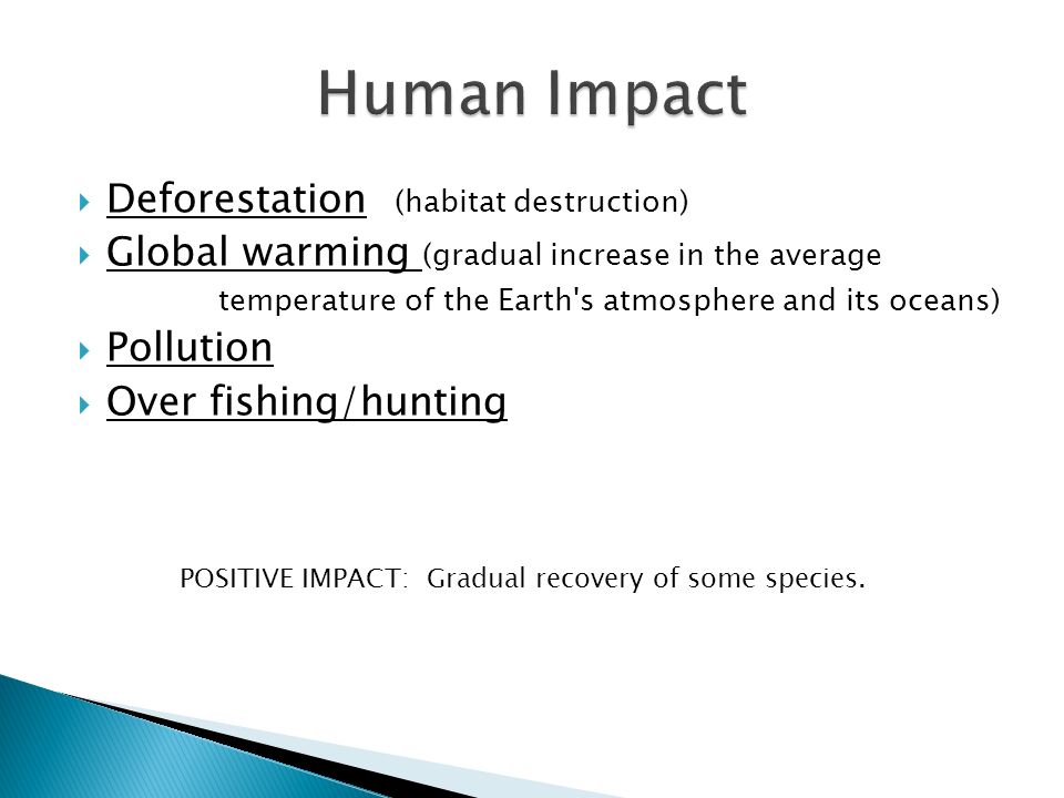  Deforestation (habitat destruction)  Global warming (gradual increase in the average temperature of the Earth s atmosphere and its oceans)  Pollution  Over fishing/hunting POSITIVE IMPACT: Gradual recovery of some species.