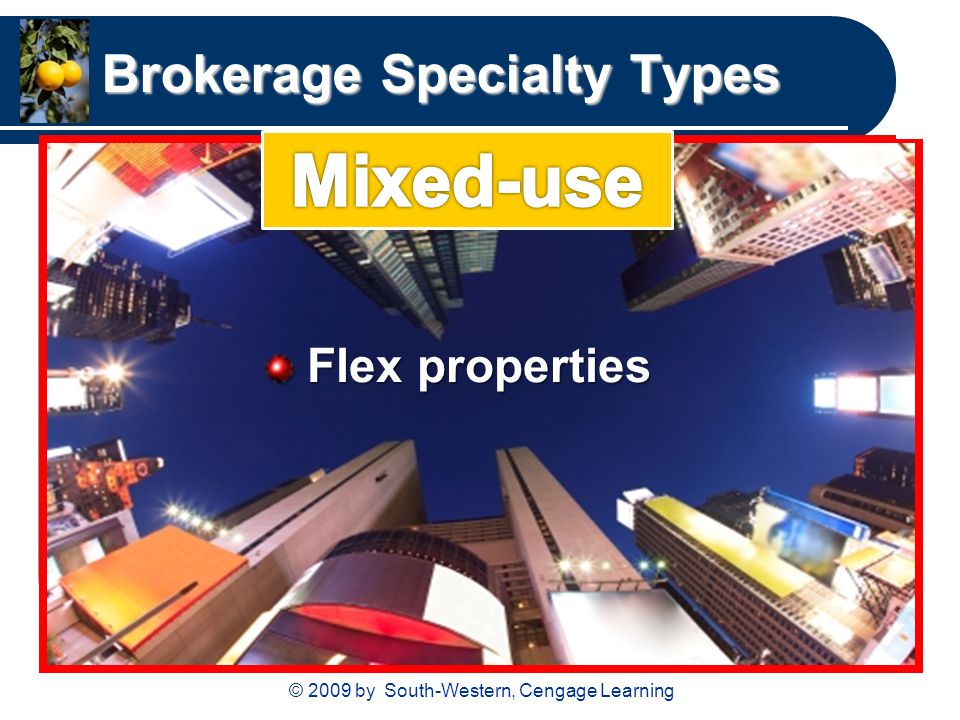 © 2009 by South-Western, Cengage Learning Brokerage Specialty Types Flex properties Flex properties