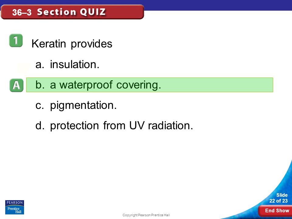 End Show Slide 22 of 23 Copyright Pearson Prentice Hall 36–3 Keratin provides a.insulation.