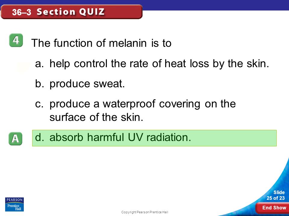 End Show Slide 25 of 23 Copyright Pearson Prentice Hall 36–3 The function of melanin is to a.help control the rate of heat loss by the skin.