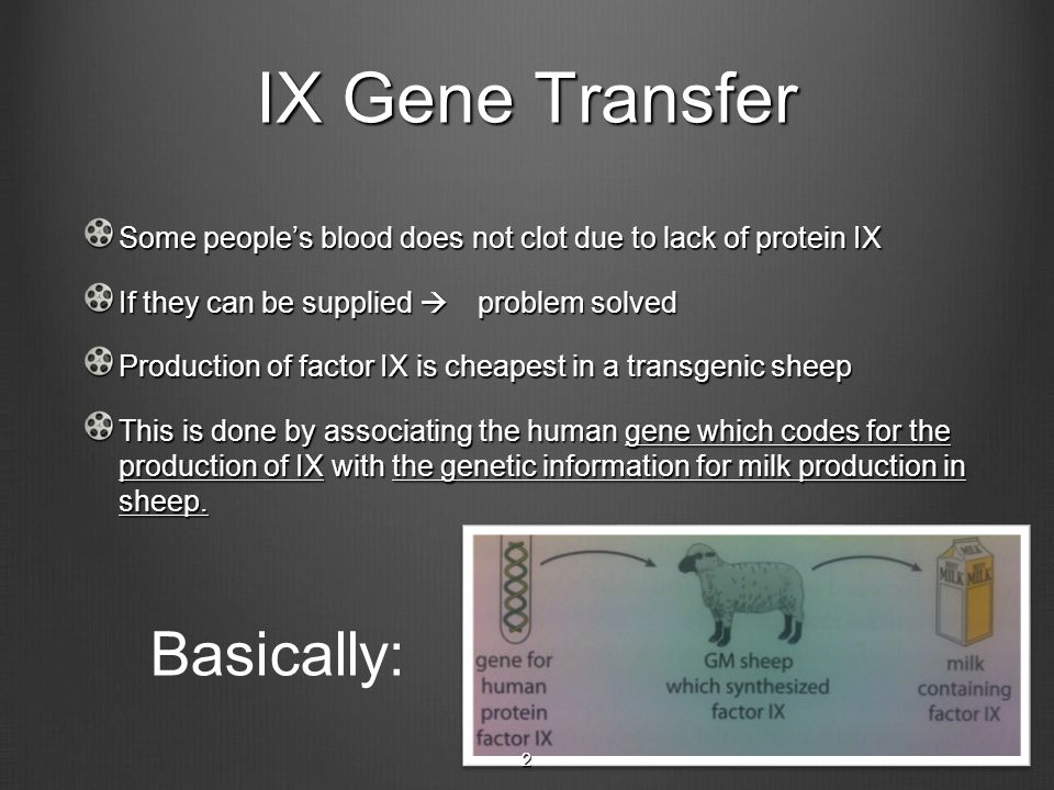 IX Gene Transfer Some people’s blood does not clot due to lack of protein IX If they can be supplied  problem solved Production of factor IX is cheapest in a transgenic sheep This is done by associating the human gene which codes for the production of IX with the genetic information for milk production in sheep.