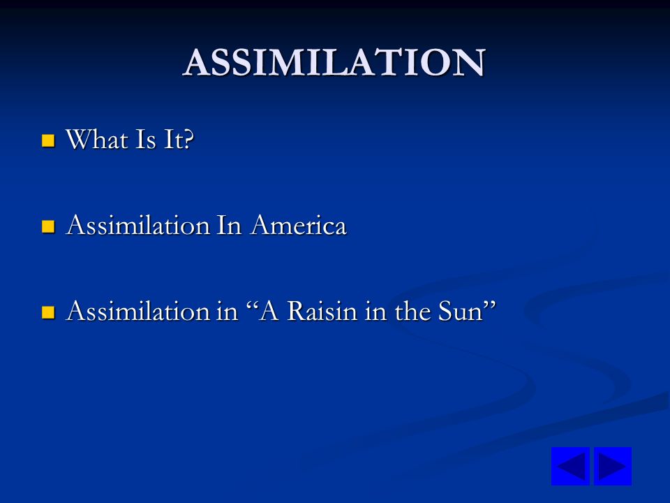 Double Exposure A Photo Essay On The People Of The City Of An A Raisin In The Sun Assimilation Essay Image Worldoffiles Ru