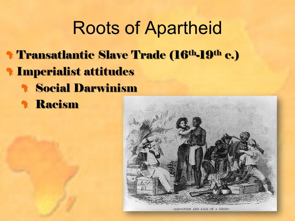 Roots of Apartheid Transatlantic Slave Trade (16 th -19 th c.) Imperialist attitudes Social Darwinism Racism