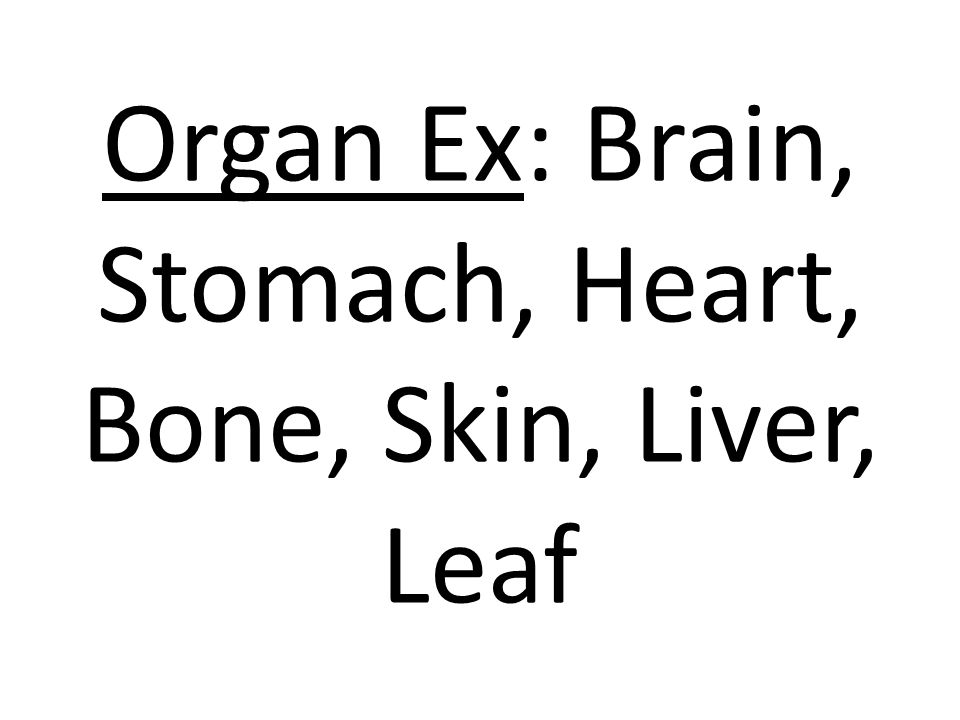 Organ Ex: Brain, Stomach, Heart, Bone, Skin, Liver, Leaf