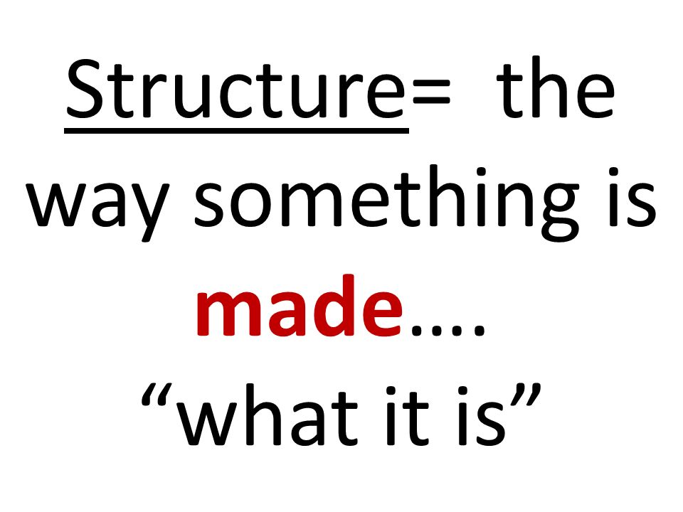 Structure= the way something is made…. what it is