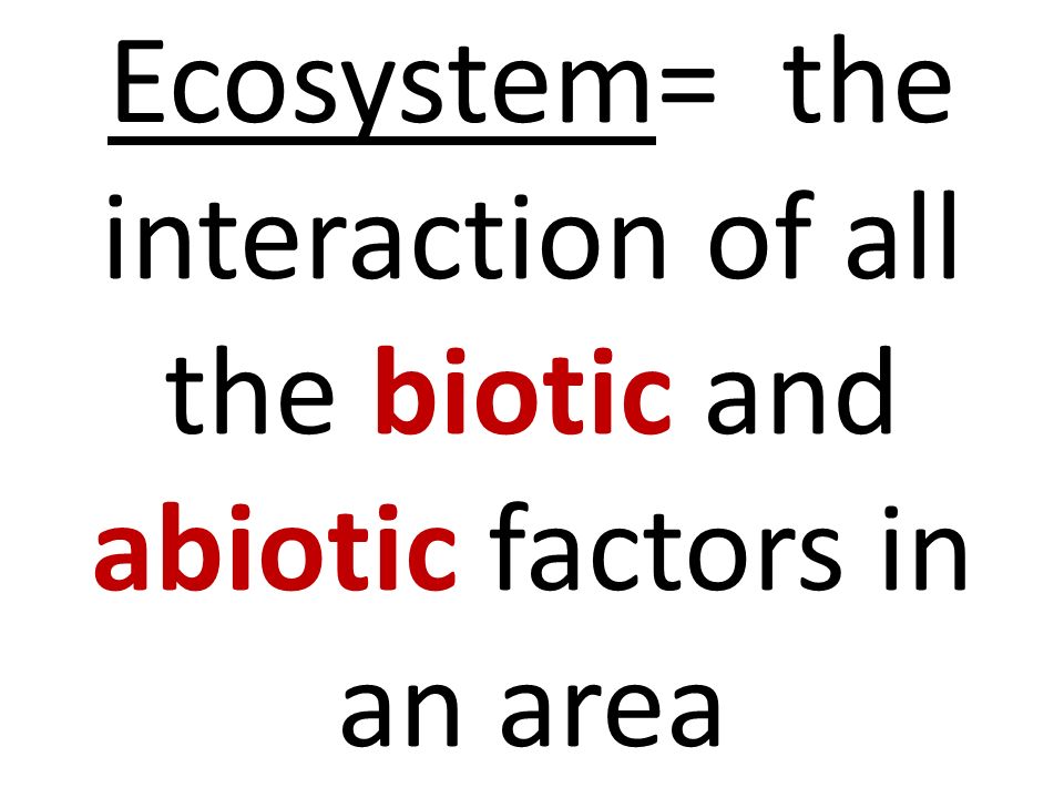 Ecosystem= the interaction of all the biotic and abiotic factors in an area