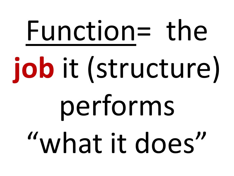 Function= the job it (structure) performs what it does
