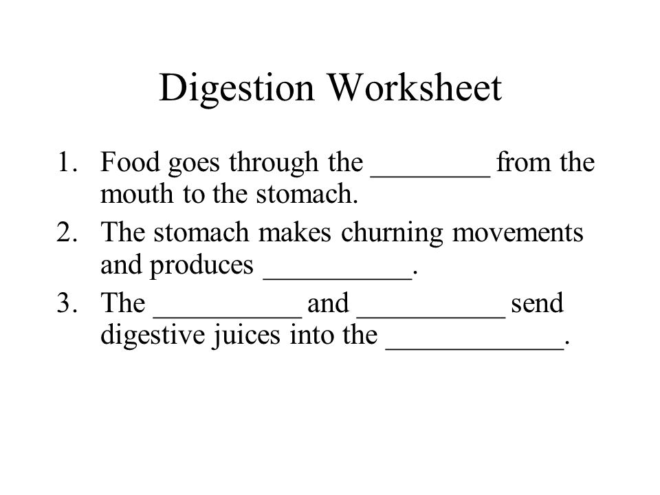 Digestion Worksheet Photos Beatlogcarnival Digestive System Worksheet 1 What Kinds Of Food Are Digested In