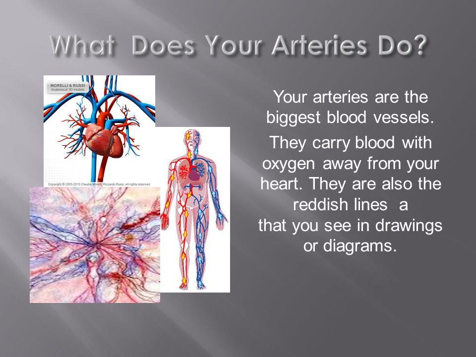 Your arteries are the biggest blood vessels. They carry blood with oxygen away from your heart.