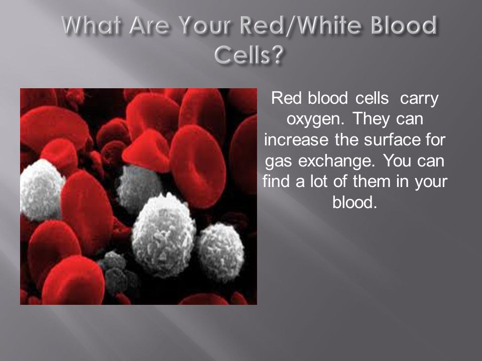 Red blood cells carry oxygen. They can increase the surface for gas exchange.