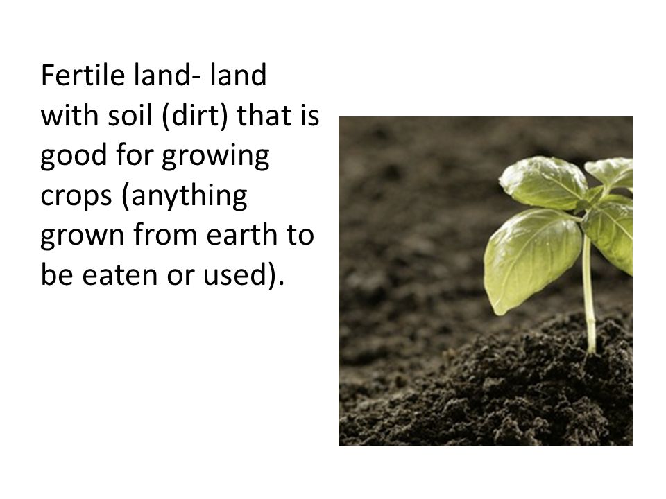 Fertile land- land with soil (dirt) that is good for growing crops (anything grown from earth to be eaten or used).
