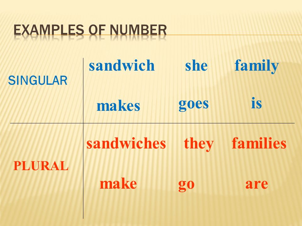 SINGULAR PLURAL sandwich sandwiches she they family families makes make goes go is are