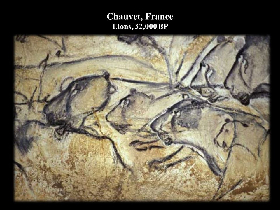 Chauvet, France Lions, 32,000 BP