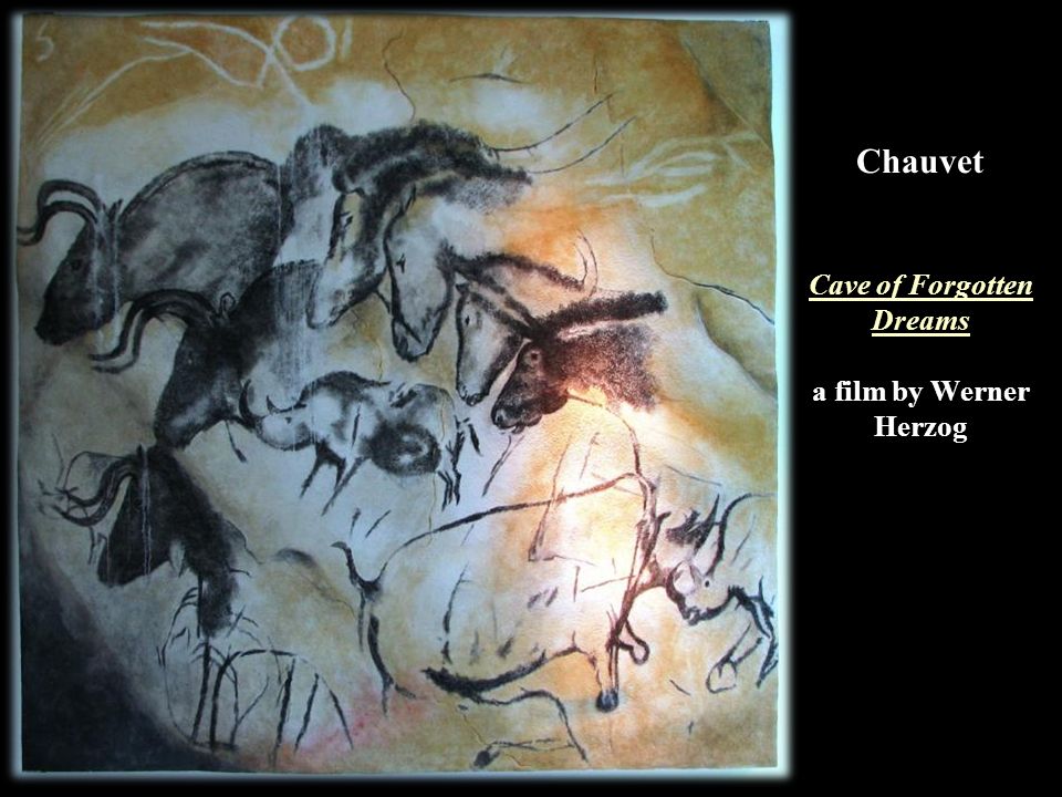 Chauvet Cave of Forgotten Dreams a film by Werner Herzog Cave of Forgotten Dreams