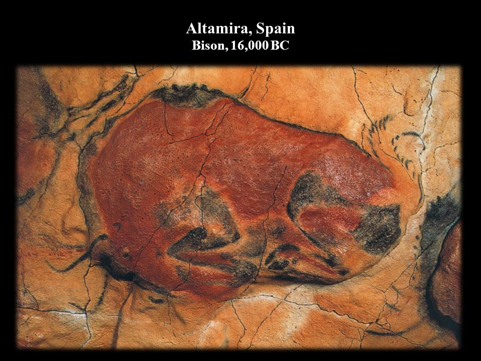 Altamira, Spain Bison, 16,000 BC