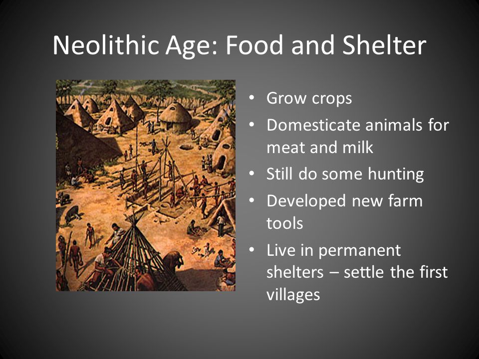 essay on neolithic age Changes from the paleolithic to the neolithic age essay 608 words | 3 pages there were changes that occurred from the paleolithic period to the neolithic. essay on neolithic age Changes from the paleolithic to the neolithic age essay 608 words | 3 pages there were changes that occurred from the paleolithic period to the neolithic.