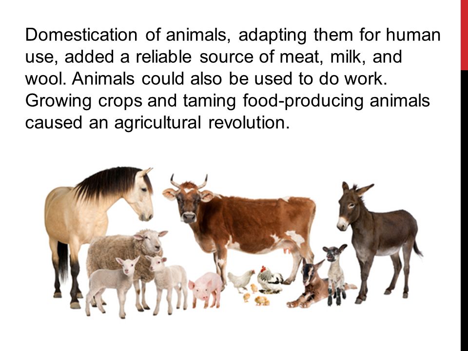 neolithic revolution 2017 18 lessons tes teach neolithic revolution