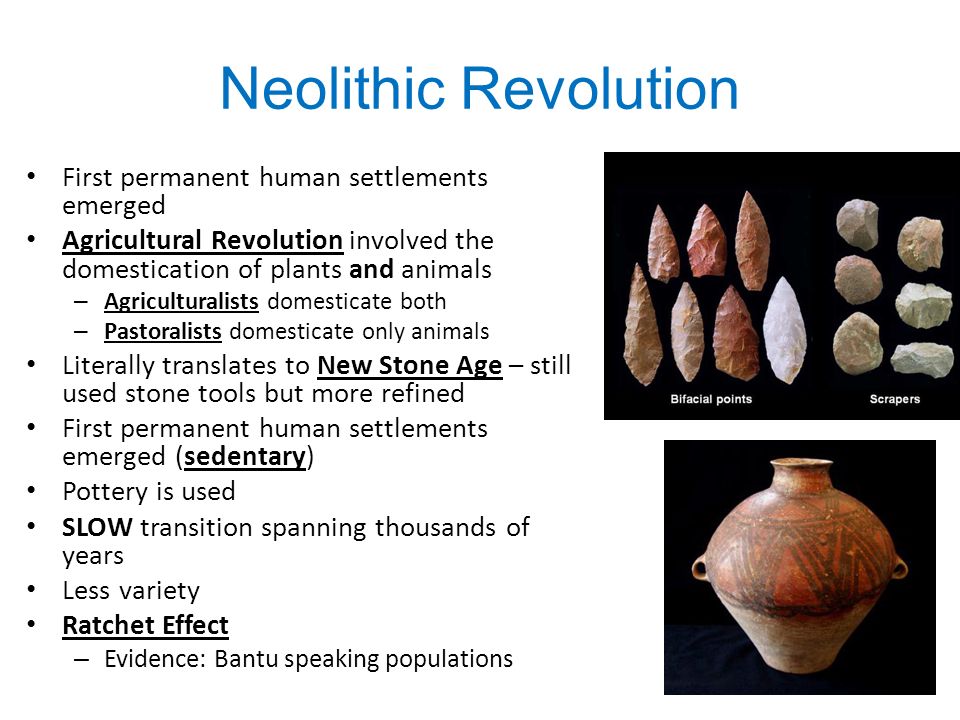 neolithic revolution paper Neolithic is of or relating to the cultural periods of the stone age beginning around the neolithic revolution research paper “the neolithic. neolithic revolution paper Neolithic is of or relating to the cultural periods of the stone age beginning around the neolithic revolution research paper “the neolithic.