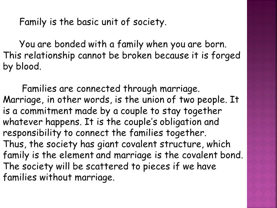Essay about family picture