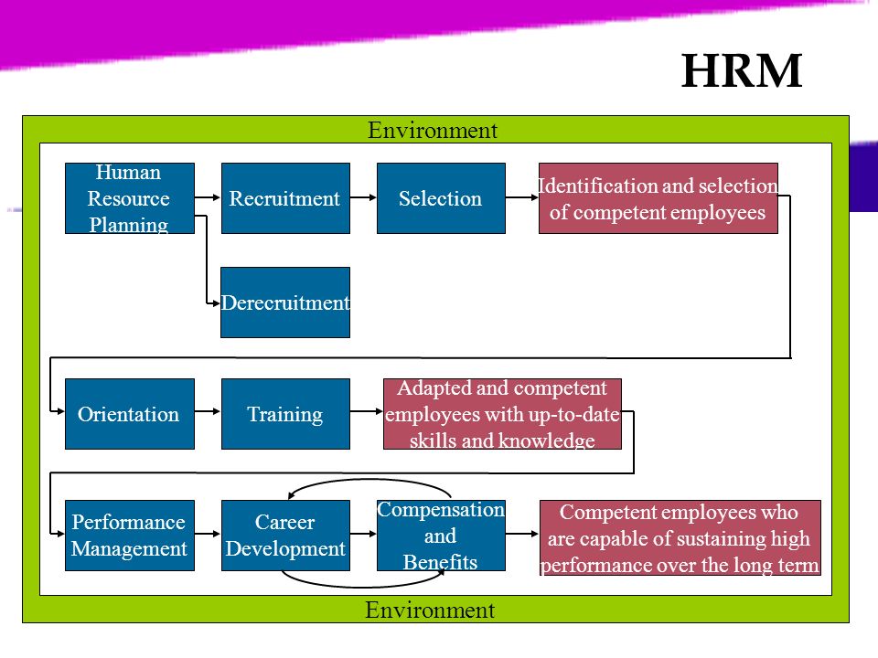 employee career management plan hrm employee career management plan hrm