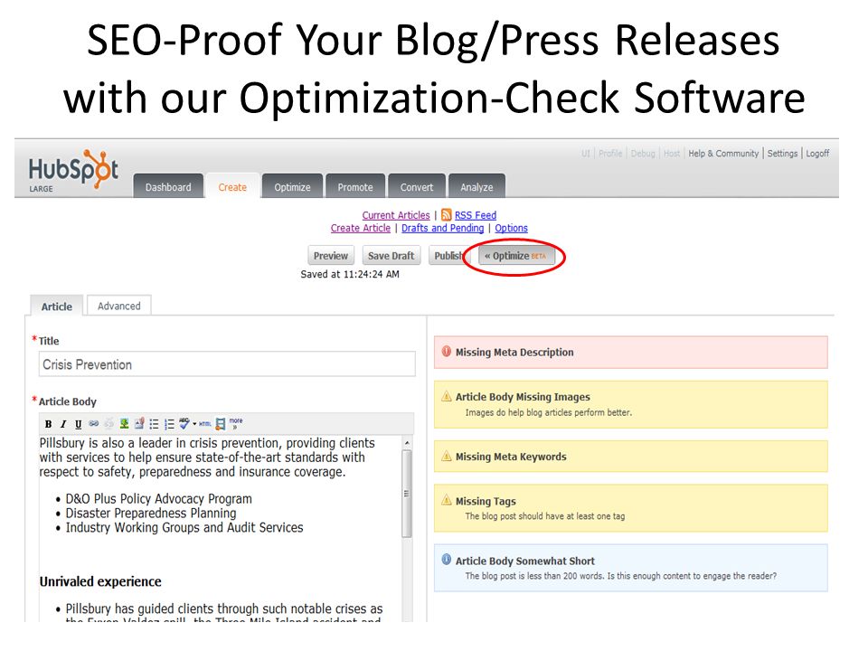 SEO-Proof Your Blog/Press Releases with our Optimization-Check Software