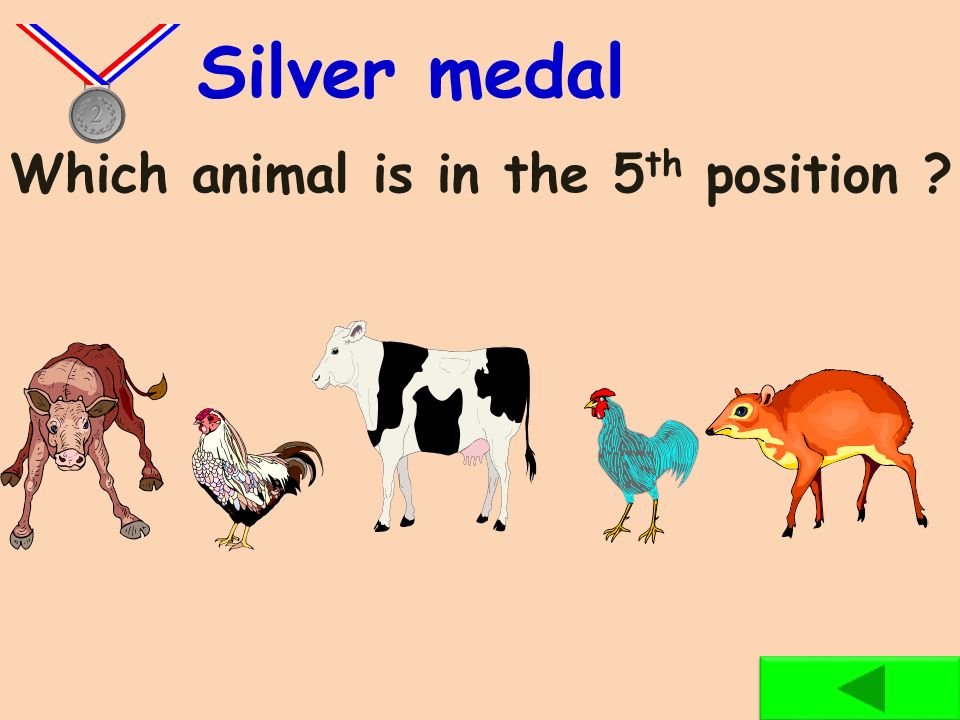 Which dog is in the 1 st position Bronze medal