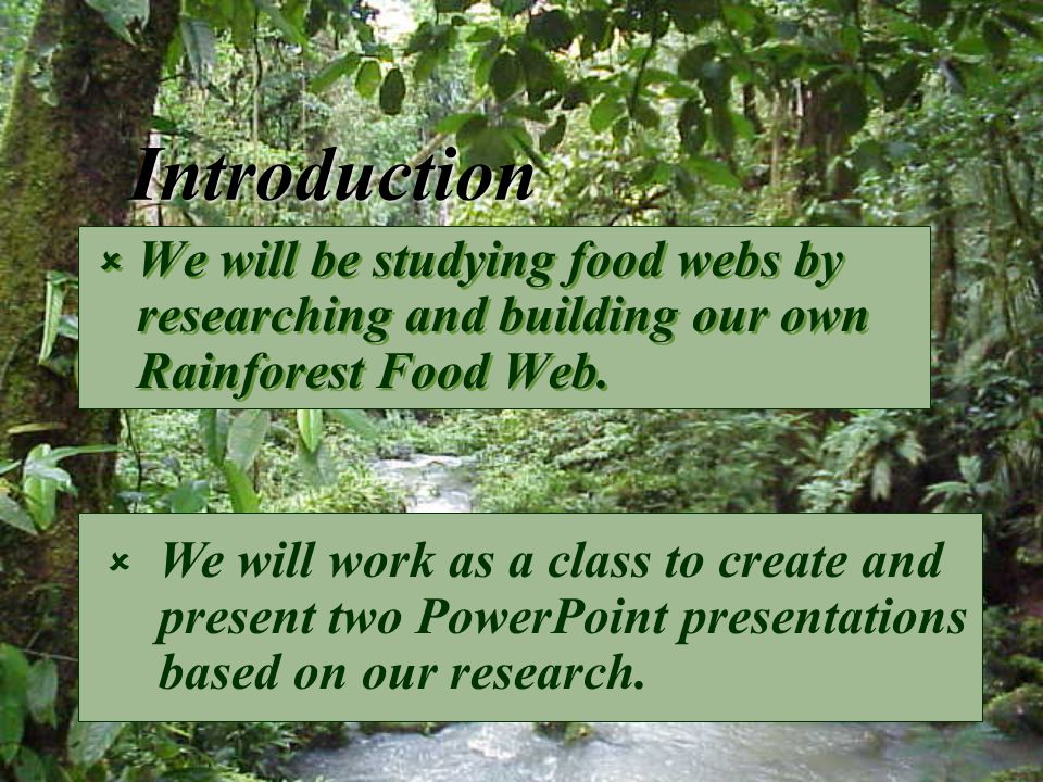 Introduction  We will be studying food webs by researching and building our own Rainforest Food Web.