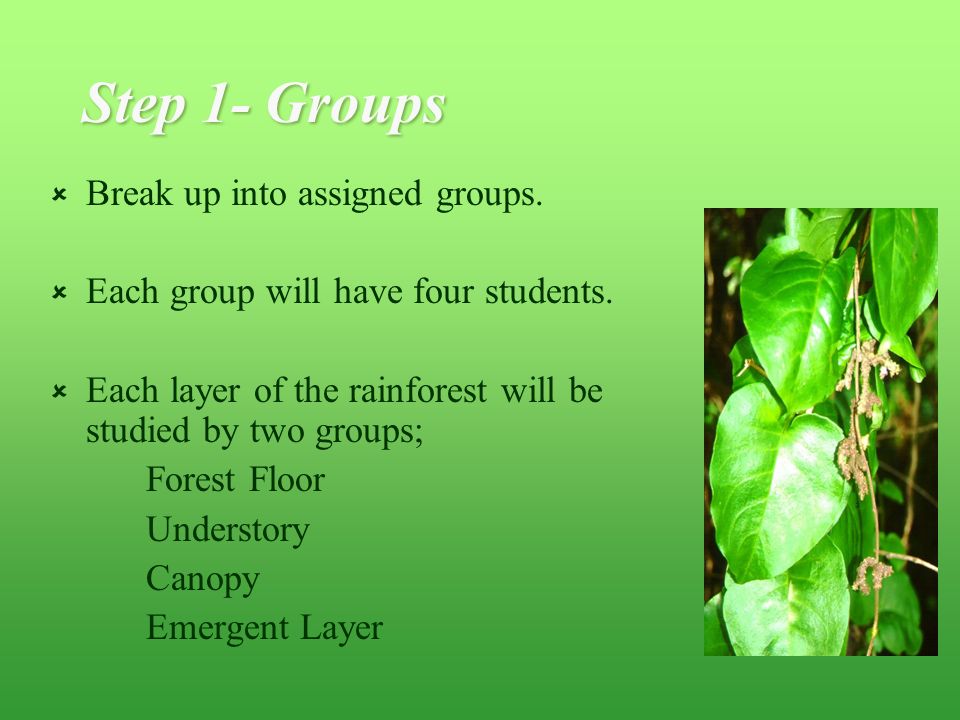 Step 1- Groups  Break up into assigned groups.  Each group will have four students.
